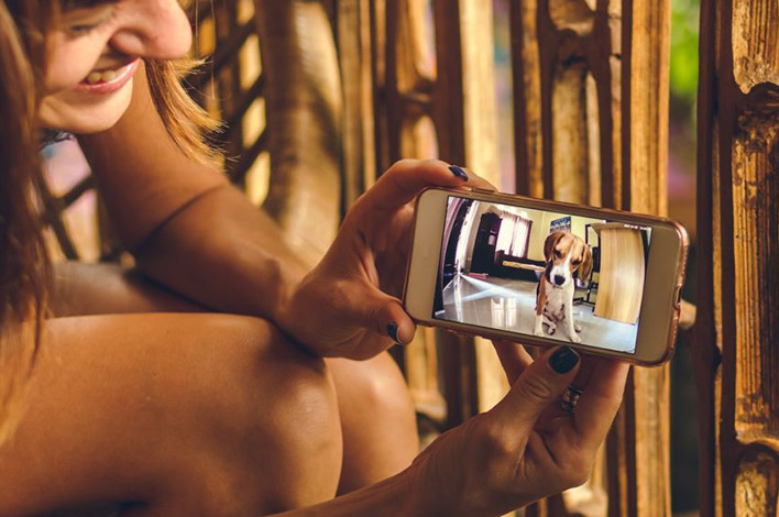 Woman taking picture of dog